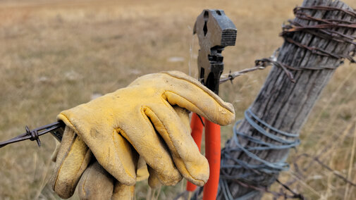 Fencing