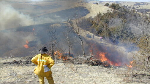 person supervising a prescribed burn