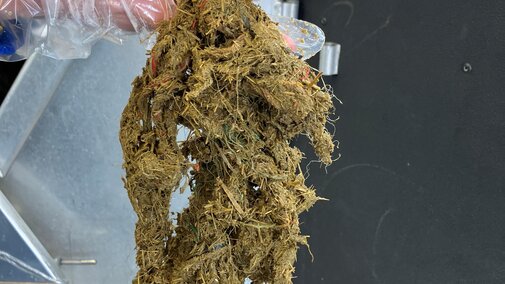 partially digested hay in a netwrap