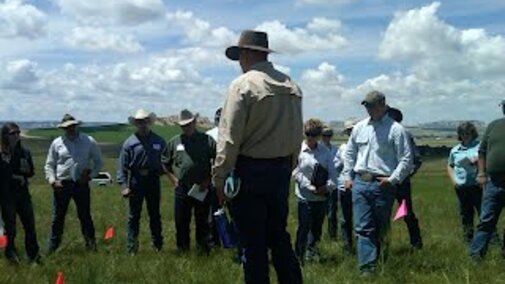 Producers in a field
