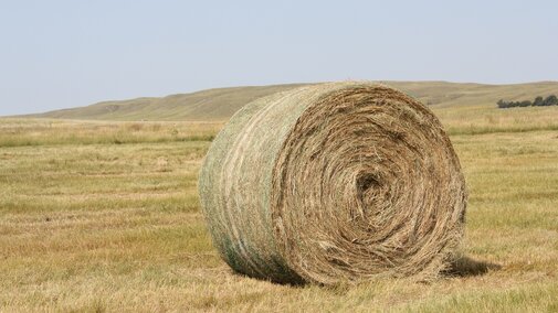 Bale of prairie hay