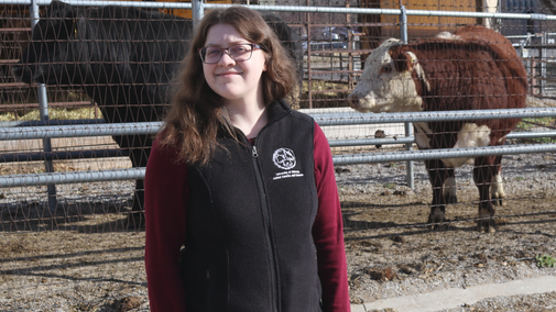 a student standing by some cattle