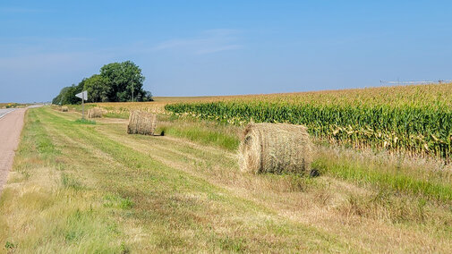 Hay bales in the road ditch