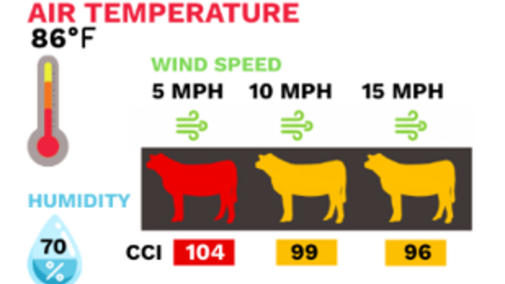 Cattle Comfort Index
