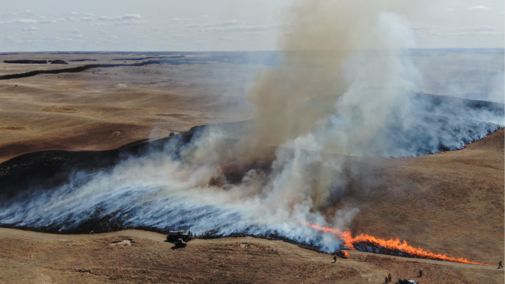 a pasture burning