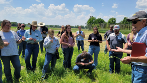 a group participating in the ranch practicum