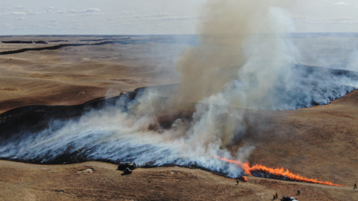 a pasture on burning