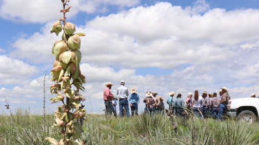 a group participating in the ranch practicum
