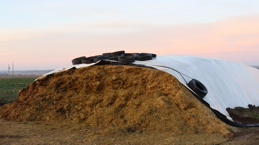 Silage pile