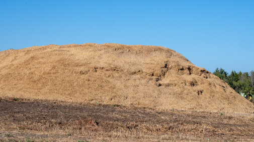 Silage pile