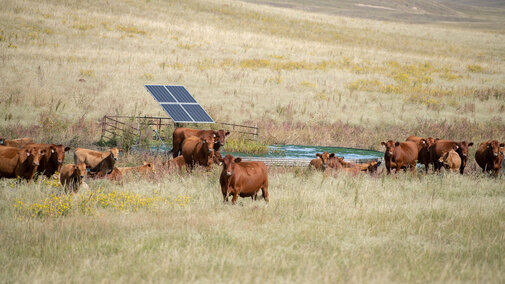 Solar well