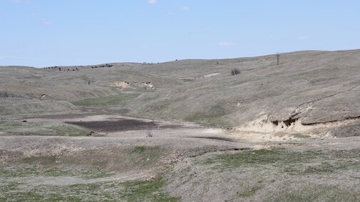 Rangeland