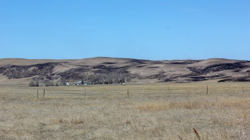 Sandhills wildfire