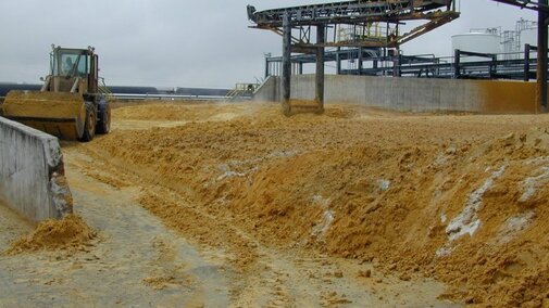 Wet distillers grains