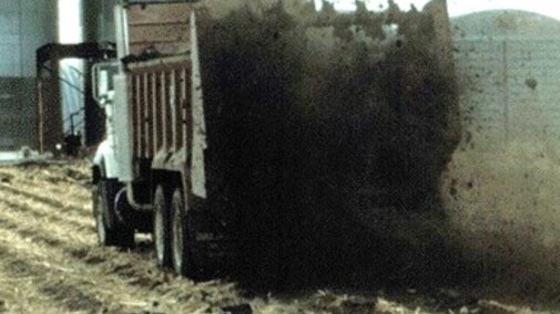 Applying beef manure to a field