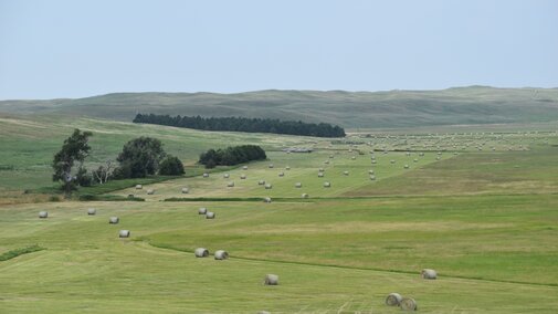 a distant shot overlooking bales of hay in a field