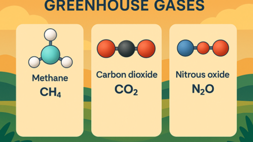 Methane, carbon dioxide, and nitrous oxide are greenhouse gases.