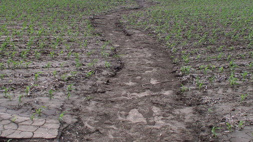 Soil erosion