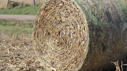 Bale of hay