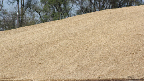 Pile of silage