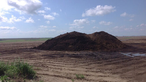 Pile of manure
