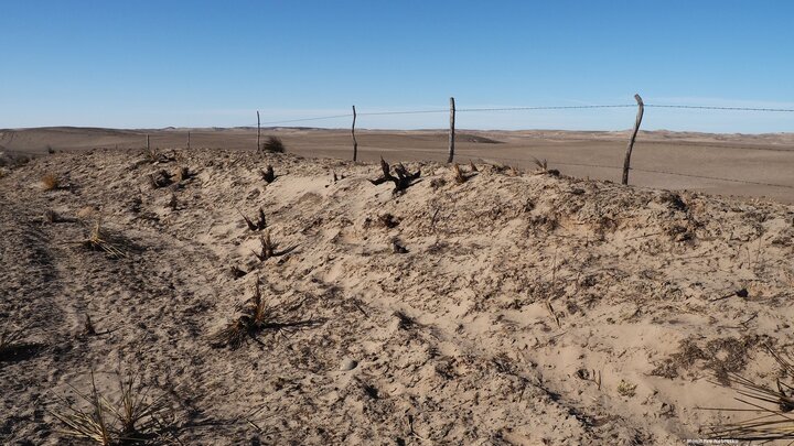 burned posts after Morrill Fire