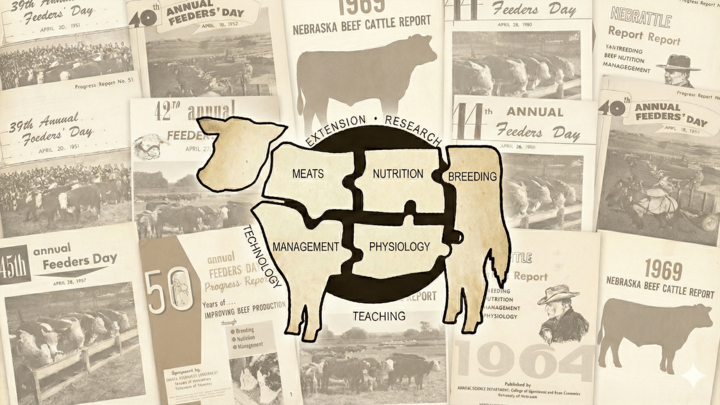 Decorative graphic showing the Nebraska Beef report through the years