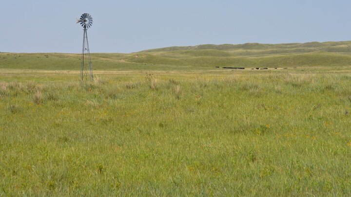 Pasture with windmill