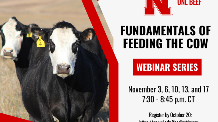 Fundamentals of Feeding the Cow webinar  postcard with cows