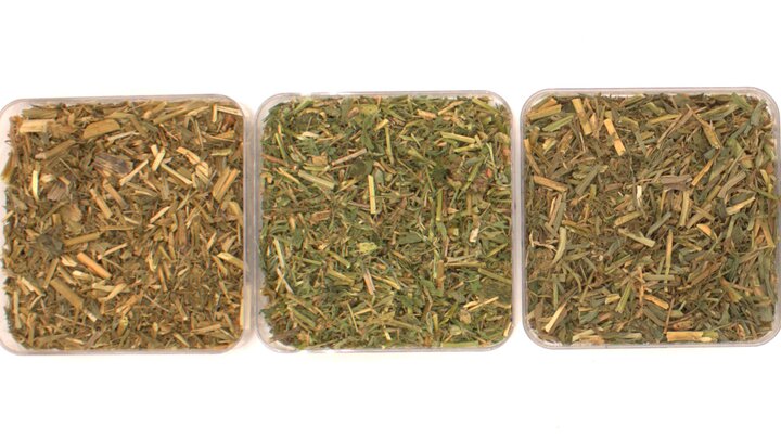 The color of hay can be an indicator of the amount of vitamin A.