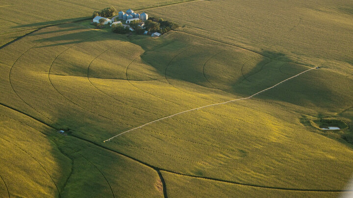 Nebraska net farm income is projected to reach a record $9.96 billion in 2026, driven by higher government payments, strong livestock receipts and a rebound in crop revenue.