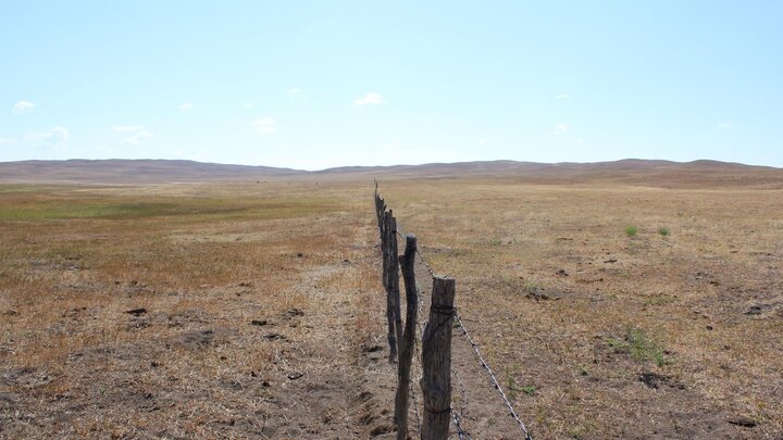 Fence post in a drought-affected field.