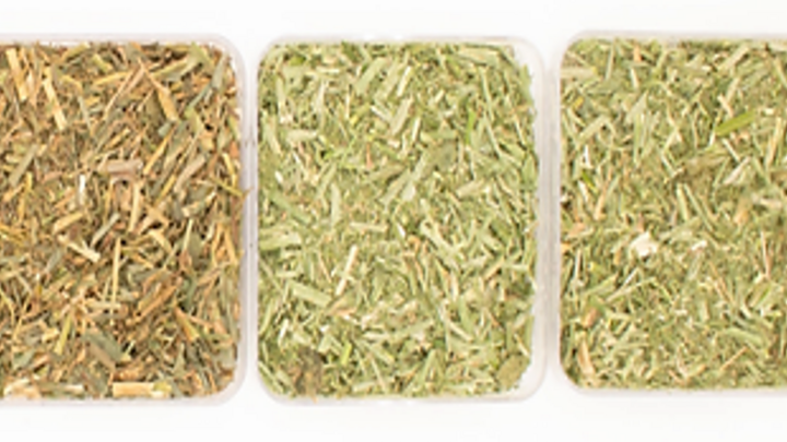 Hay samples that are different shades of green