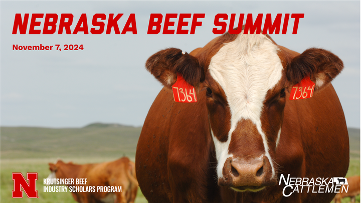 Beef Scholars Summit