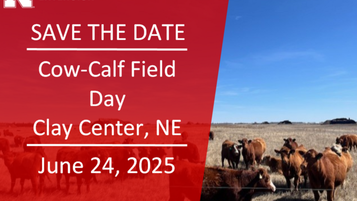 Save the Date for Cow-Calf Field Day on June 24