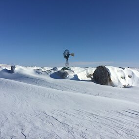 Bales with snow