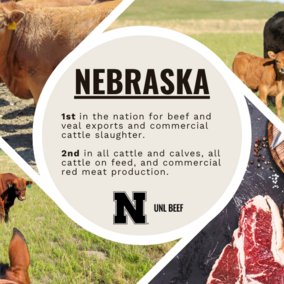 Nebraska leads the nation in many areas of beef production.