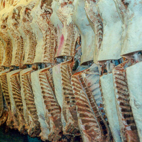 Beef carcasses