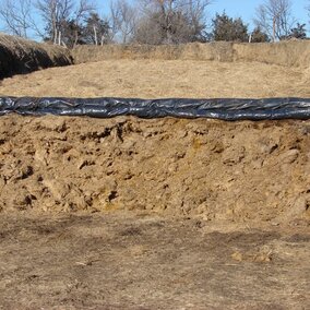 Wet distillers grains mixed with a dry forage and packed in a bunker