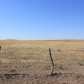 Consider drought in a lease. Photo by Troy Walz.