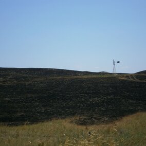 Burned pastures after a wildfire (Photo credit: Bethany Johnston)