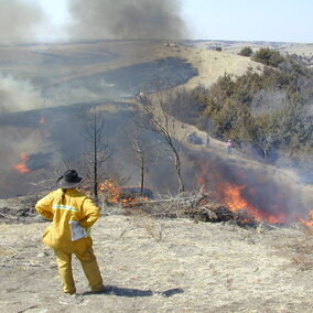 person supervising a prescribed burn