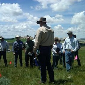 Producers in a field