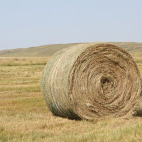 Bale of prairie hay