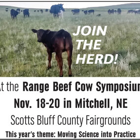 Range Beef Cow Symposium, November 18 to 20 in Mitchell, Nebraska