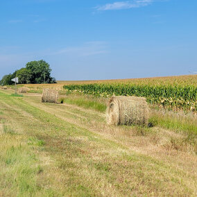 Hay bales in the road ditch