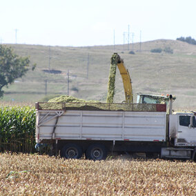 Cutting silage