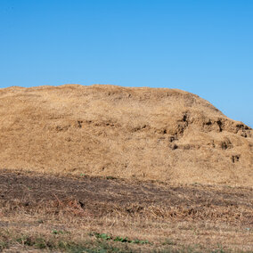 Silage pile