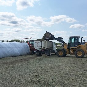 Sorghum silage bagging
