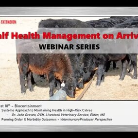 link to Systems Approach to Maintaining Health in High-Risk Calves